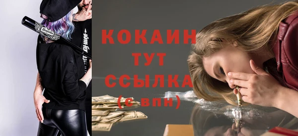 прущий лед Михайлов
