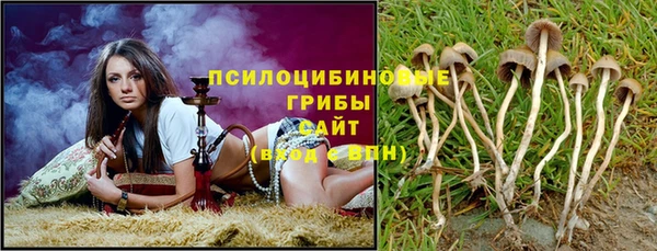 тгк Михайловск
