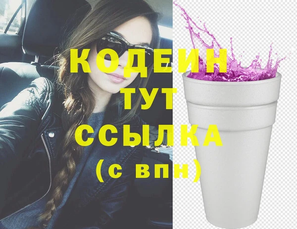 прущий лед Михайлов