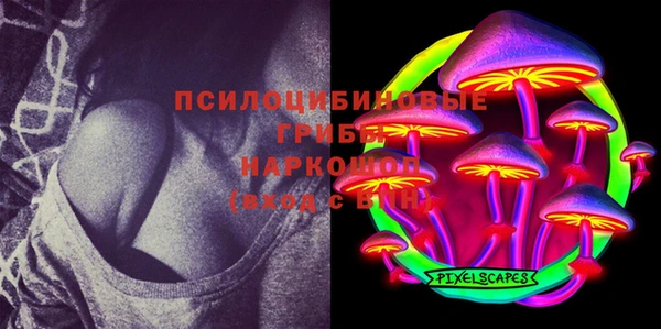 прущий лед Михайлов