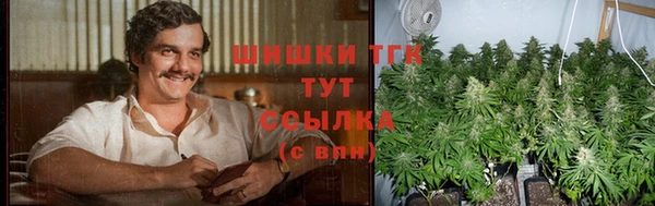 тгк Михайловск
