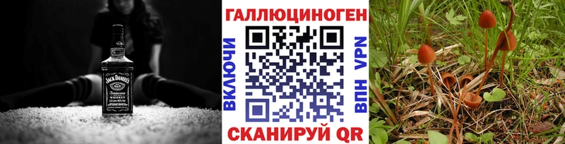 Псилоцибиновые грибы MAGIC MUSHROOMS  Купить закладки  Дальнегорск 